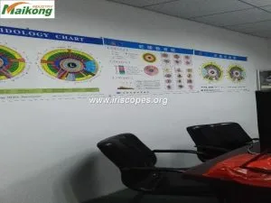 مصنع ايريسكوب