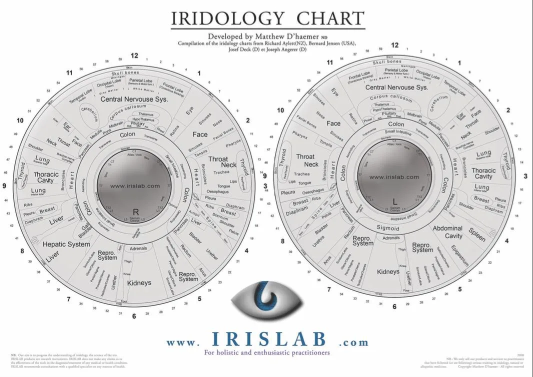 Rayid Iridology
