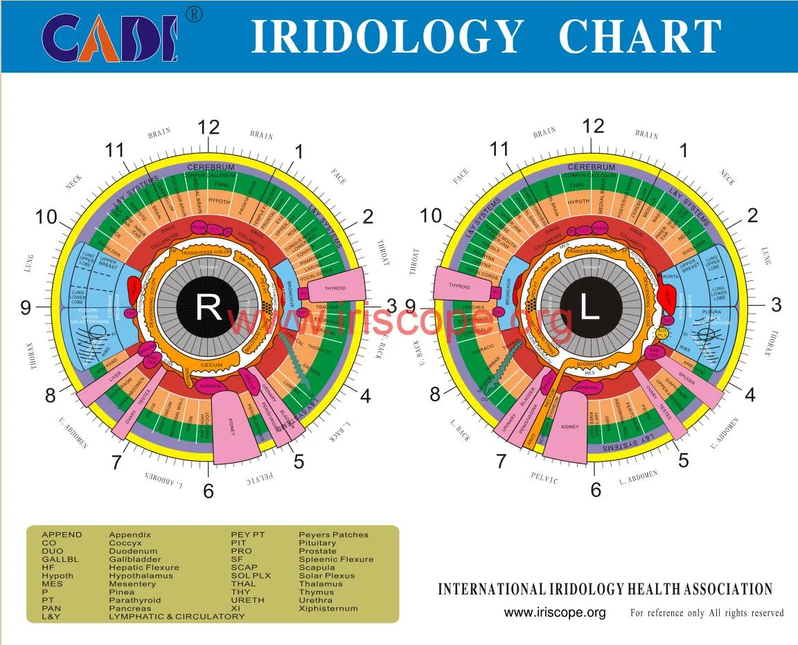 gráfico de iridologia