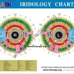 Telecamera per iridologia per Mac