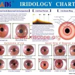 Telecamera per iridologia per Mac