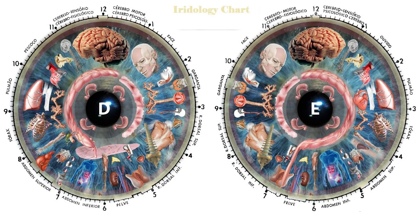 como ler iridologia dos olhos