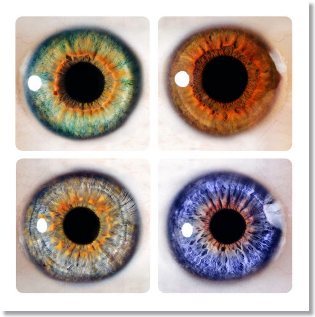 Iridología: Cómo leer el ojo?