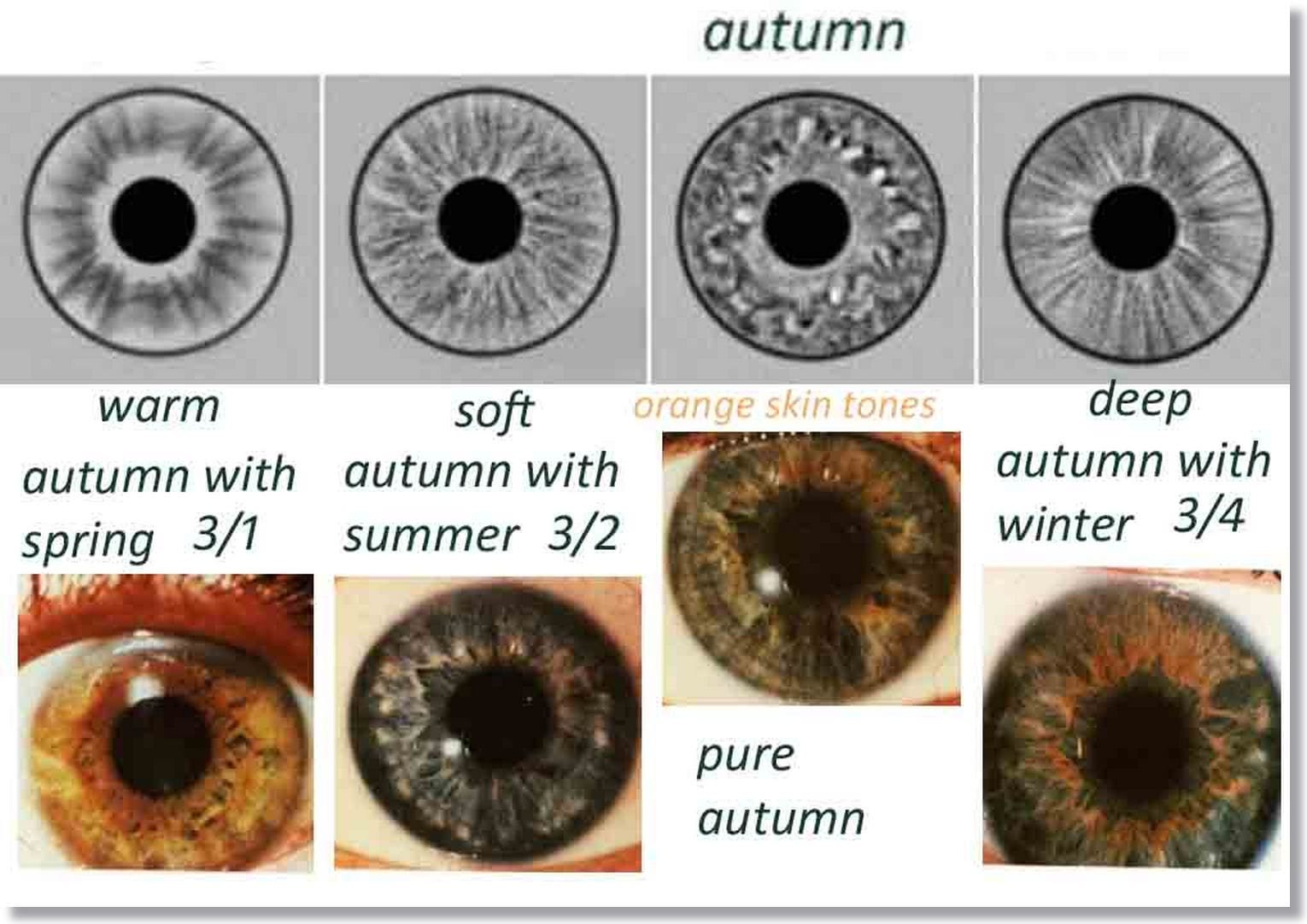 Iridología: Cómo leer el ojo?