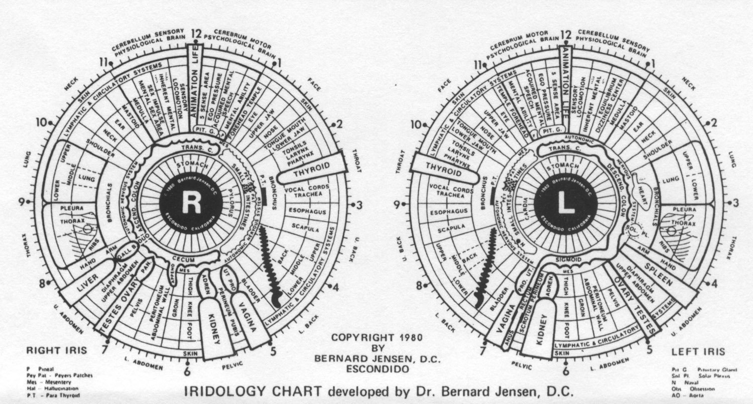 Bernard Jensen Iridology chart