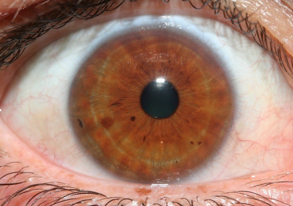 Close-up view of optical lens equipment for pupil capture